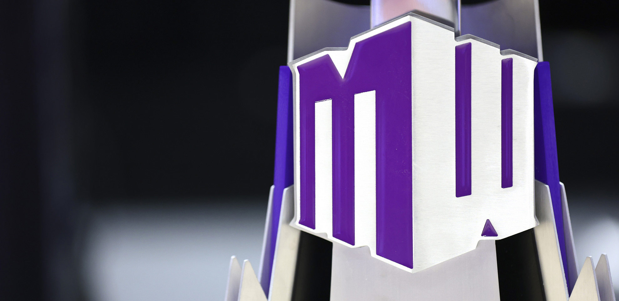 Mountain West Network Logo Detail